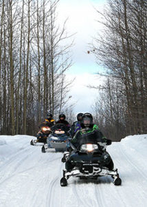 Snowmobilers following a trail in Benzie County.