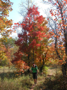 Fall colors along the Jordan River Pathway.