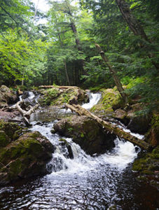 A waterfall along the Little Carp River in Porcupine Mountains Wilderness State Park.